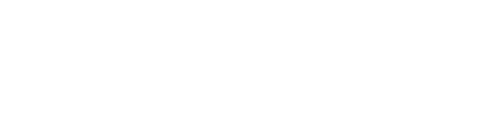 XcelPay logo
